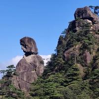 用户8429523448618头像