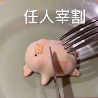 聪明饺子S头像