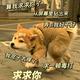 用户127430825952头像