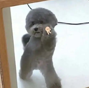 肥肠代表哥的个人资料头像