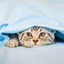 lixiaobao的个人资料头像