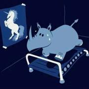 n4809的个人资料头像