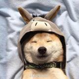 一手老剪头像