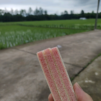 宝爸爱生活pro头像