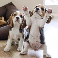 潇洒儒雅的生活头像