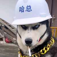 冲动的登爷头像