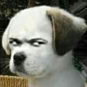 您这种情况持续多久了的个人资料头像