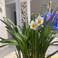 简单的幸福23947320头像