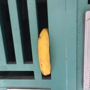 卡住了卡哥的个人资料头像