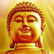 用户2535778051433的个人资料头像