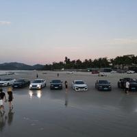 惠州笨基翘头像