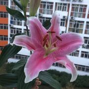 _name的个人资料头像