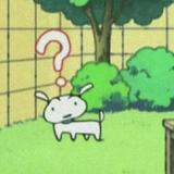 大大大大大泡泡糖153头像