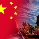 蓸琛琛头像
