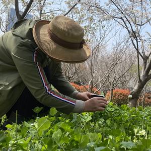 乡间云朵头像