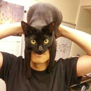 PJ968的个人资料头像