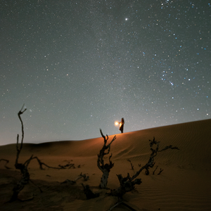 春序叁陆·旺禄