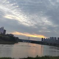 泓尘196头像