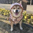 xyh本尊的个人资料头像