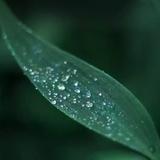 胡永辉504头像