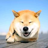 睿智的独一无二的云淡头像