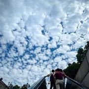 大岩568的个人资料头像