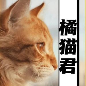 橘猫故事笔记头像