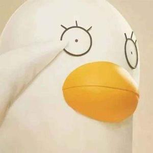 飞天帅小乐头像