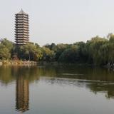 自强不息2885头像