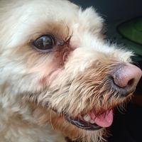 喜力影视大全头像