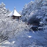 二厶七小头像