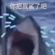 kLike的个人资料头像