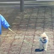 雨落倾城的个人资料头像