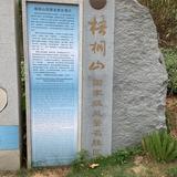 你努力了吗今天头像