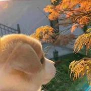 对方正在输入617的个人资料头像