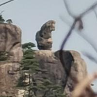 热情的橘子0y9头像