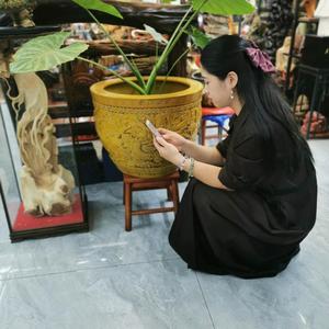 艺无止境二心头像