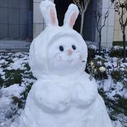 小小西红柿的个人资料头像