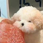 水獭小贩的个人资料头像