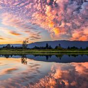 墨明棋妙yj的个人资料头像