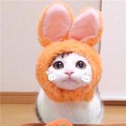 聪明的霍霍霍的个人资料头像