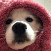 ღyou699头像