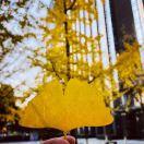 idler的个人资料头像