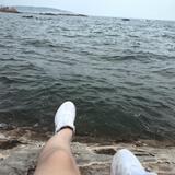 在青岛的鱼头像