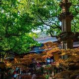 用户2033057679580头像