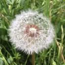 undefined的个人资料头像