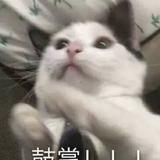 用户7372624569357头像