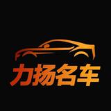 义乌力扬名车头像