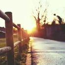 夜尽天明君48288的个人资料头像