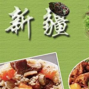 新疆寇飞头像